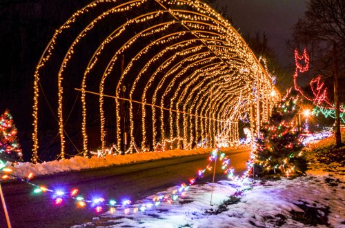 A festive pathway lined with colorful Christmas lights and snow-covered ground, creating a magical winter scene.