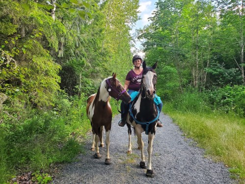 A person riding two horses on a gravel path surrounded by lush greenery and trees.