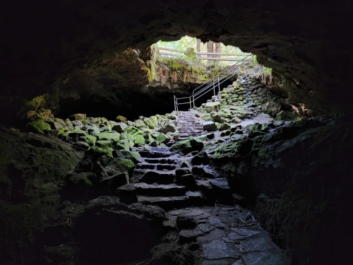 A view from inside a cave, showing stone steps leading up to a bright opening with greenery above.
