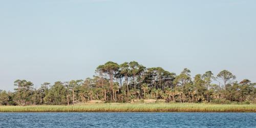 A serene landscape featuring a lush green island with trees, bordered by calm water under a clear blue sky.