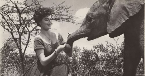 A woman in a vintage dress feeds a baby elephant in a natural setting with trees and a clear sky.