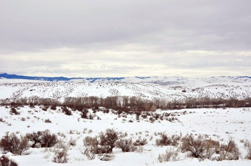 A snowy landscape with rolling hills and sparse vegetation under a cloudy sky.