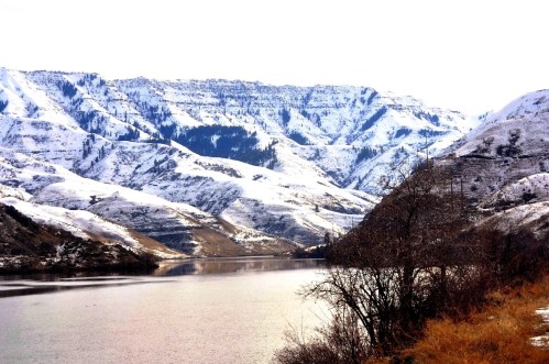 Snow-covered mountains reflect in a calm river, surrounded by barren trees and grassy banks under a clear sky.