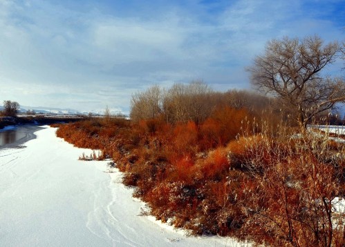 A snowy riverbank lined with vibrant orange and brown vegetation under a blue sky.