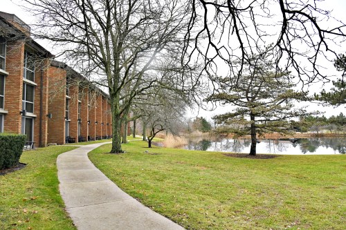 A pathway winds through a grassy area beside a pond, with trees and a brick building in the background.
