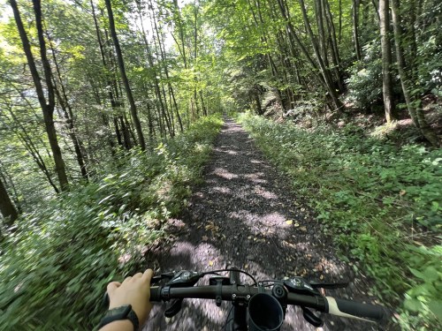 A view from a bike handlebar on a gravel path surrounded by lush green trees and foliage.