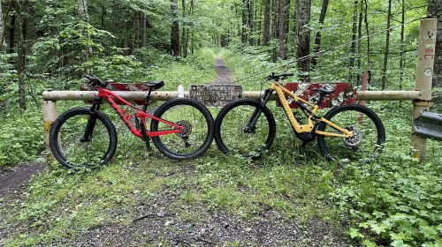 Two mountain bikes, one red and one yellow, are parked at a forest trail entrance, surrounded by lush greenery.