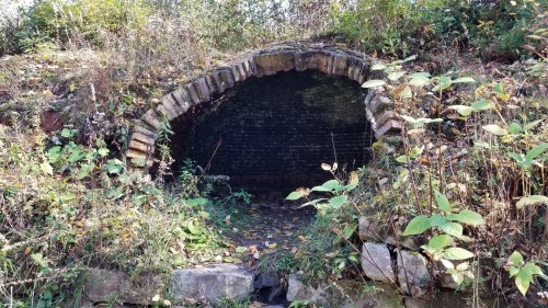 An arched brick entrance partially covered in vegetation, leading into a dark, overgrown area.