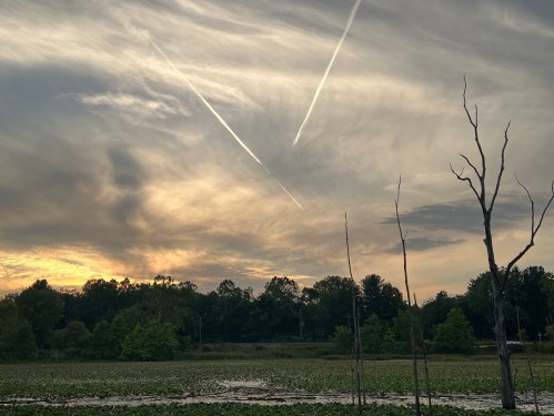 A serene landscape featuring a lake with lily pads, silhouetted trees, and dramatic clouds streaked by contrails at sunset.