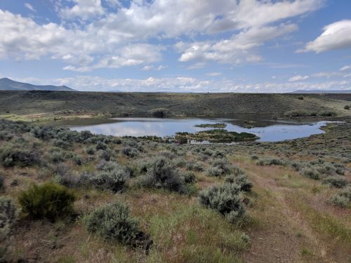 A serene landscape featuring a calm pond surrounded by green shrubs and rolling hills under a partly cloudy sky.