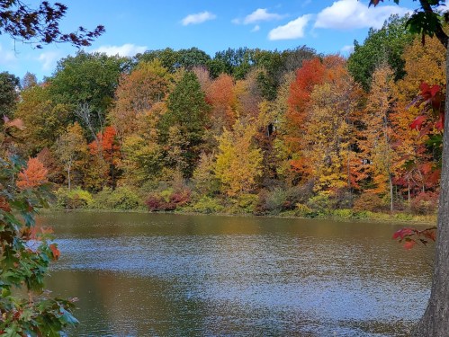 A serene lake surrounded by vibrant autumn trees in shades of orange, red, and yellow under a blue sky.