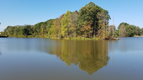 A serene lake scene with an island surrounded by trees, reflecting in the calm water under a clear blue sky.