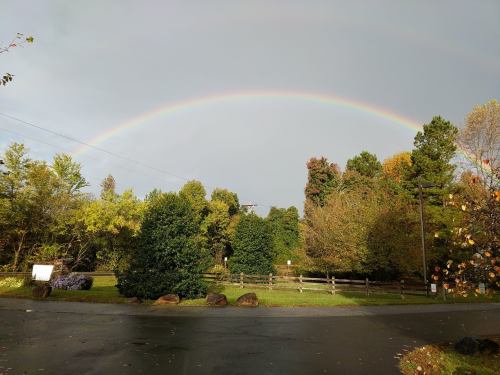 A vibrant rainbow arcs over a lush green landscape after a rainstorm, with trees and a gravel path visible.