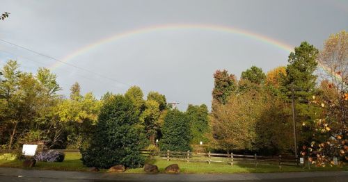 A vibrant rainbow arcs over a lush green landscape with trees and a wooden fence under a cloudy sky.