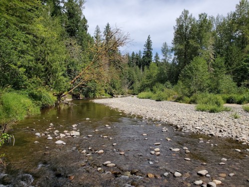 A serene river flows through a lush green landscape, with scattered rocks and a leaning tree along the bank.
