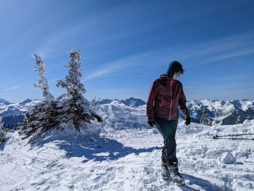A person in winter gear walks on a snowy mountain peak with trees and distant mountains under a clear blue sky.