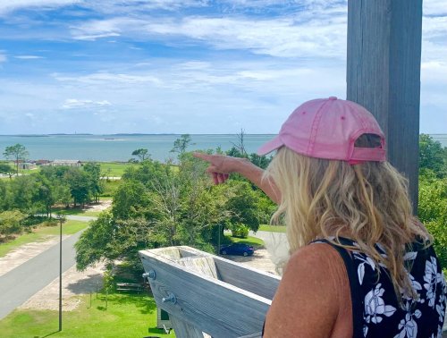 A woman in a pink cap points towards the water from a wooden lookout, surrounded by trees and a clear blue sky.