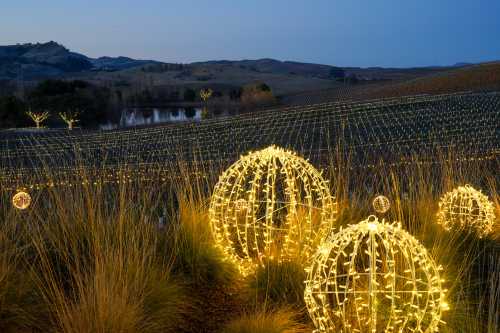 Glowing spherical lights in a vineyard at dusk, with rolling hills and a serene pond in the background.