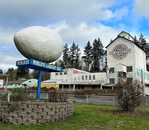 A large white egg sculpture labeled "Winlock World's Largest Egg" in front of a historic building and trees.