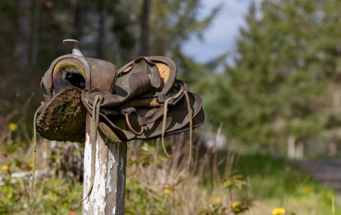 A weathered saddle rests on a wooden post, surrounded by greenery and soft sunlight.