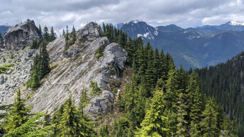 A rocky mountain ridge surrounded by lush green trees, with distant mountains under a cloudy sky.