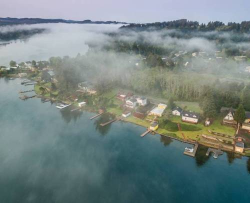 Aerial view of a misty lakeside community with houses and docks surrounded by lush greenery.