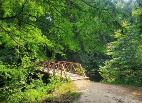 A wooden bridge spans a serene stream, surrounded by lush green trees and foliage.