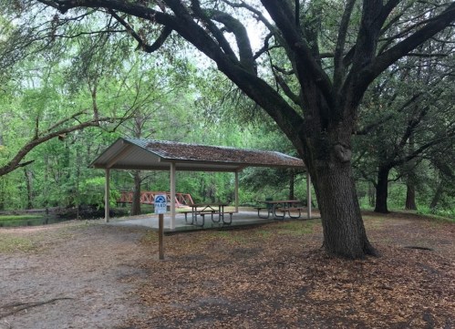 A covered picnic area with tables surrounded by trees in a green park setting.