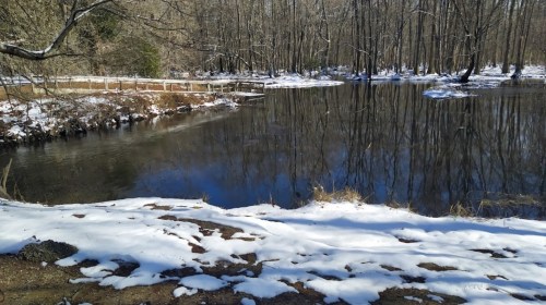 A serene winter scene with a snowy bank beside a calm, reflective pond surrounded by bare trees.