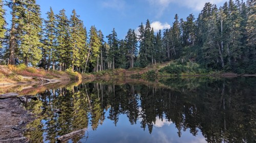 A serene lake surrounded by tall evergreen trees, reflecting the blue sky and forested hillside.