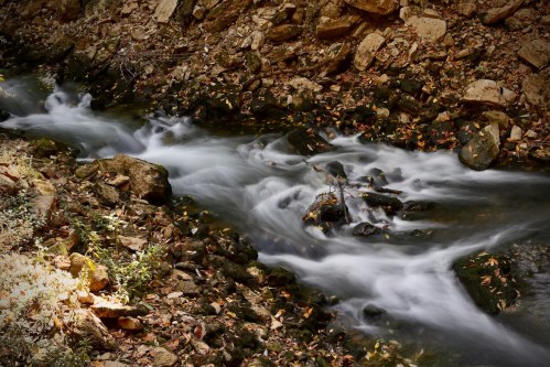 A serene stream flows over rocks, surrounded by earthy tones and scattered autumn leaves.