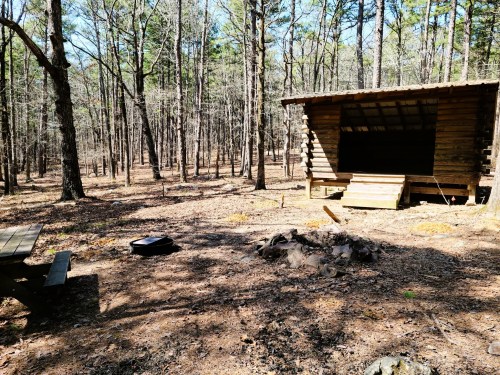 A rustic cabin in a wooded area, surrounded by trees and a picnic table nearby.
