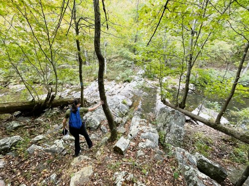 A person with a blue backpack walks along a rocky path in a lush green forest near a stream.