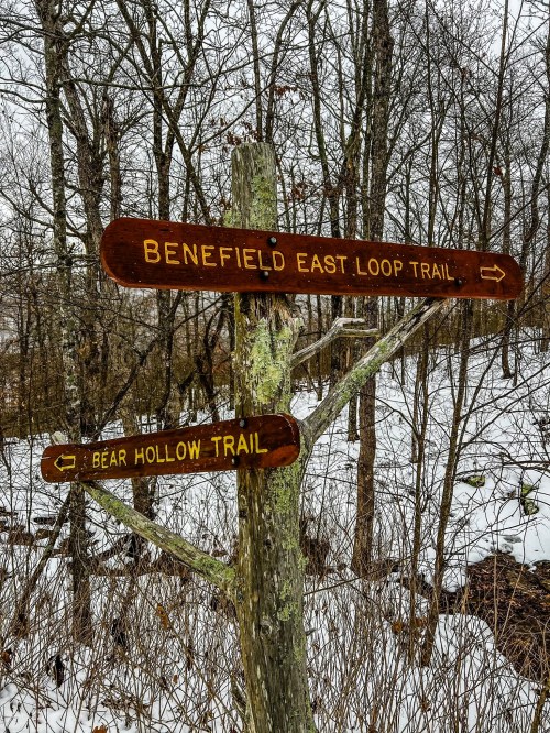 Wooden trail signs point to "Benefield East Loop Trail" and "Bear Hollow Trail" in a snowy, wooded area.