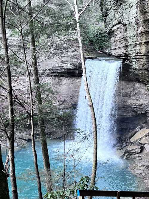 A serene waterfall cascades into a turquoise pool, surrounded by lush trees and rocky cliffs.