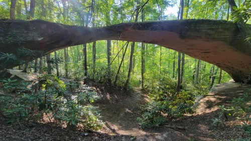 A natural stone arch surrounded by lush green trees and foliage in a serene forest setting.
