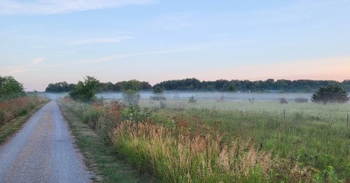A gravel section of the Fairfield Loop Trail stretches straight into the distance, flanked by tall prairie grasses and covered in a low-hanging morning mist at sunrise.