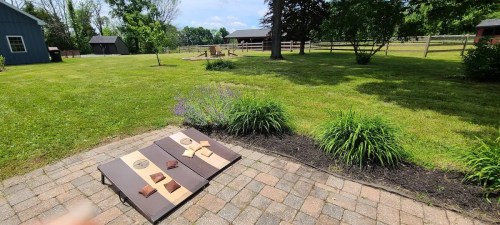 A sunny backyard with a cornhole game set up on a stone patio, surrounded by grass and trees.