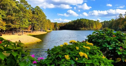 A serene lake surrounded by trees and colorful flowers under a bright blue sky with fluffy clouds.