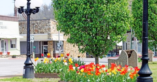 A vibrant scene featuring colorful tulips, a green tree, and a lamp post near a quaint town square.