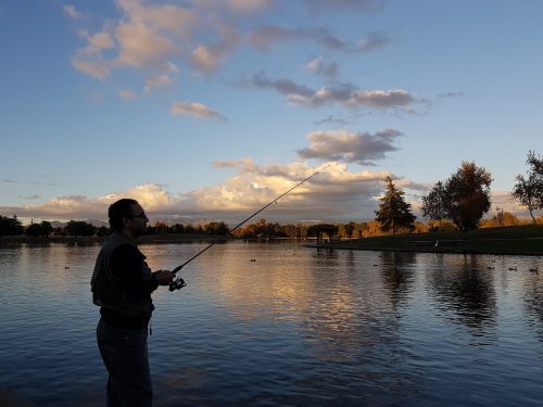 A person fishing by a serene lake at sunset, with clouds reflecting on the water and trees in the background.