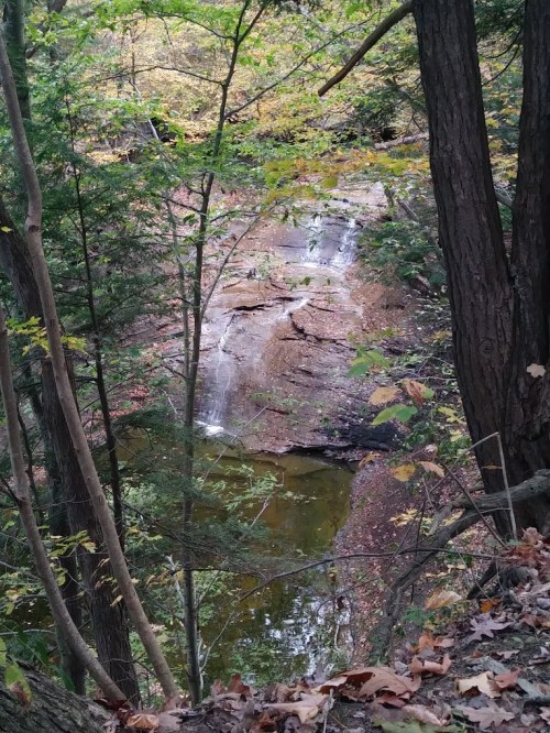 A serene forest scene featuring a small waterfall cascading into a calm pool, surrounded by autumn foliage.
