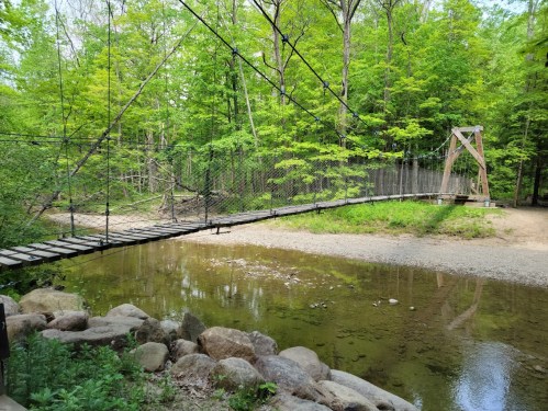 A suspension bridge over a calm stream, surrounded by lush green trees and rocky riverbank.