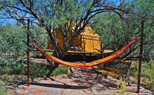 A colorful hammock hangs between trees near a yellow tent, surrounded by greenery and a stone pathway.