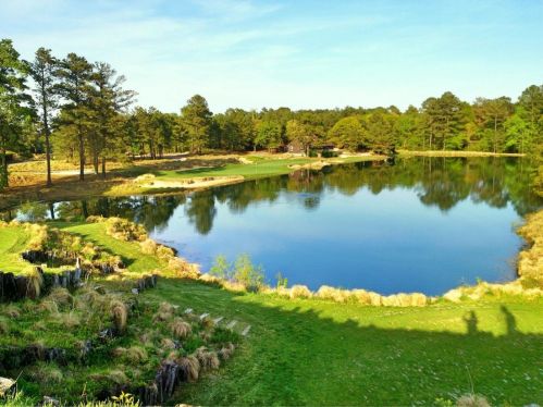 A serene landscape featuring a calm pond surrounded by lush greenery and trees under a clear blue sky.