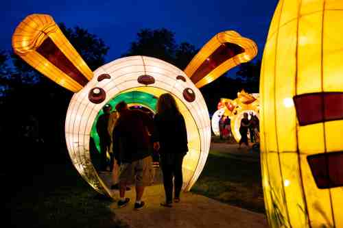 Visitors walk through colorful lanterns shaped like animals at a nighttime festival.