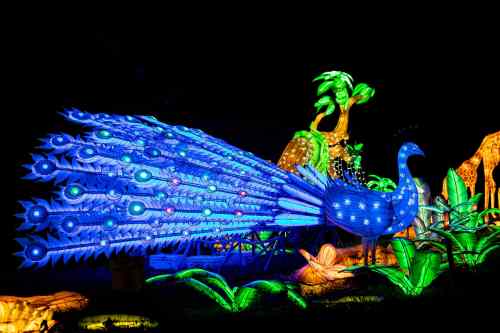 A vibrant blue peacock lantern with illuminated feathers, surrounded by colorful tropical plants against a dark background.