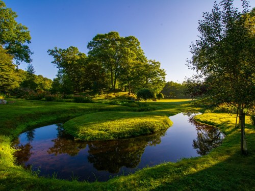 A serene landscape featuring a calm pond surrounded by lush greenery and trees under a clear blue sky.