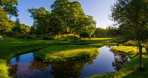 A serene landscape featuring a winding stream, lush green grass, and trees under a clear blue sky.