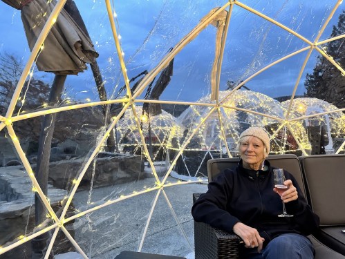 A woman sits inside a cozy, illuminated dome, holding a drink, with a scenic outdoor view in the background.